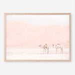 Shop Two Camels Photo Art Print a Moroccan desert boho themed photography wall art print from The Print Emporium wall artwork collection - Buy Australian made fine art poster and framed prints for the home and your interior decor room, TPE-832-AP
