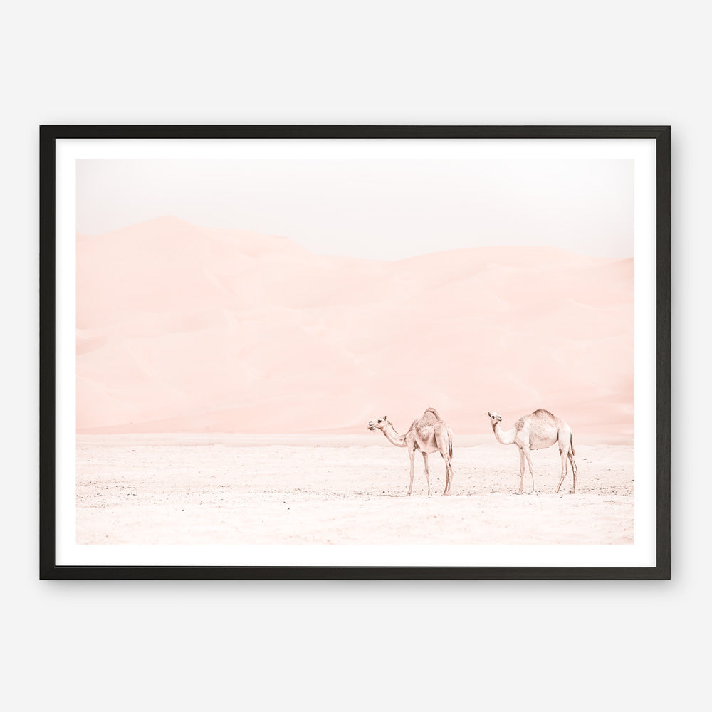 Shop Two Camels Photo Art Print a Moroccan desert boho themed photography wall art print from The Print Emporium wall artwork collection - Buy Australian made fine art poster and framed prints for the home and your interior decor room, TPE-832-AP