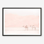 Shop Two Camels Photo Art Print a Moroccan desert boho themed photography wall art print from The Print Emporium wall artwork collection - Buy Australian made fine art poster and framed prints for the home and your interior decor room, TPE-832-AP