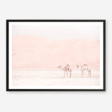 Shop Two Camels Photo Art Print a Moroccan desert boho themed photography wall art print from The Print Emporium wall artwork collection - Buy Australian made fine art poster and framed prints for the home and your interior decor room, TPE-832-AP