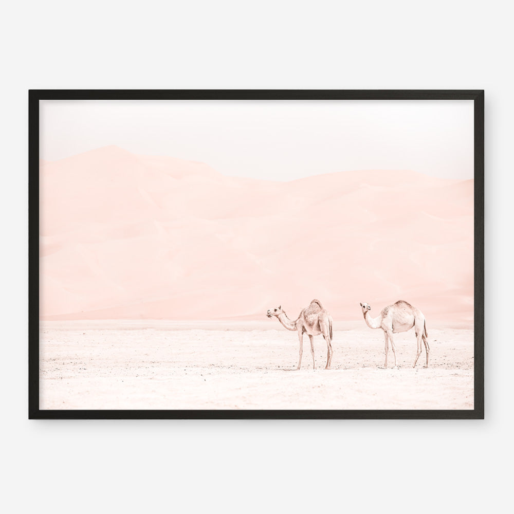 Shop Two Camels Photo Art Print a Moroccan desert boho themed photography wall art print from The Print Emporium wall artwork collection - Buy Australian made fine art poster and framed prints for the home and your interior decor room, TPE-832-AP