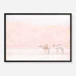 Shop Two Camels Photo Art Print a Moroccan desert boho themed photography wall art print from The Print Emporium wall artwork collection - Buy Australian made fine art poster and framed prints for the home and your interior decor room, TPE-832-AP