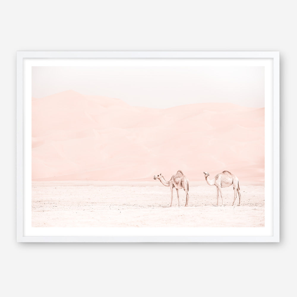 Shop Two Camels Photo Art Print a Moroccan desert boho themed photography wall art print from The Print Emporium wall artwork collection - Buy Australian made fine art poster and framed prints for the home and your interior decor room, TPE-832-AP