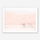 Shop Two Camels Photo Art Print a Moroccan desert boho themed photography wall art print from The Print Emporium wall artwork collection - Buy Australian made fine art poster and framed prints for the home and your interior decor room, TPE-832-AP