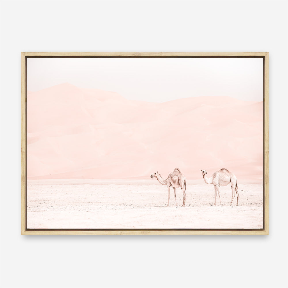 Shop Two Camels Photo Canvas Print a Moroccan desert boho themed photography framed stretched canvas print from The Print Emporium wall artwork collection - Buy Australian made prints for the home and your interior decor space, TPE-832-CA-35X46-NF
