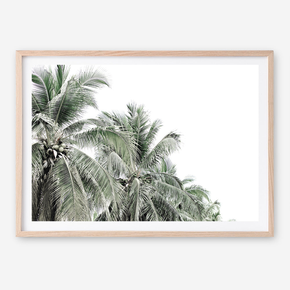Shop Two Palms Photo Art Print a photography wall art print from The Print Emporium wall artwork collection - Buy Australian made fine art poster and framed prints for the home and your interior decor room, TPE-777-AP