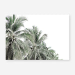 Shop Two Palms Photo Art Print a photography wall art print from The Print Emporium wall artwork collection - Buy Australian made fine art poster and framed prints for the home and your interior decor room, TPE-777-AP
