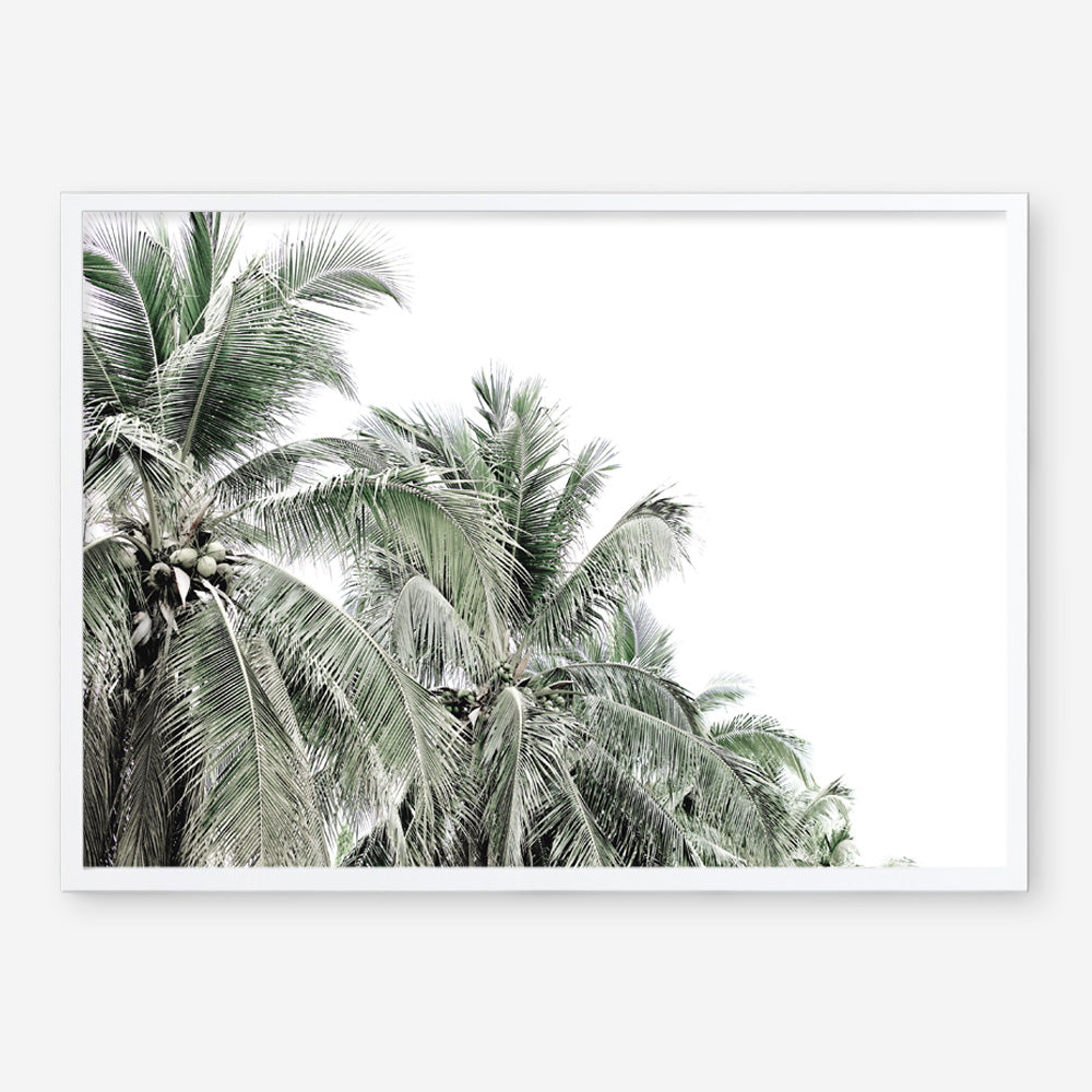 Shop Two Palms Photo Art Print a photography wall art print from The Print Emporium wall artwork collection - Buy Australian made fine art poster and framed prints for the home and your interior decor room, TPE-777-AP