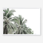 Shop Two Palms Photo Art Print a photography wall art print from The Print Emporium wall artwork collection - Buy Australian made fine art poster and framed prints for the home and your interior decor room, TPE-777-AP
