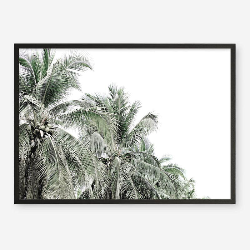 Buy Two Palms Photo Art Print | The Print Emporium®