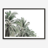 Shop Two Palms Photo Art Print a photography wall art print from The Print Emporium wall artwork collection - Buy Australian made fine art poster and framed prints for the home and your interior decor room, TPE-777-AP