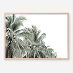 Shop Two Palms Photo Art Print a photography wall art print from The Print Emporium wall artwork collection - Buy Australian made fine art poster and framed prints for the home and your interior decor room, TPE-777-AP