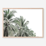 Shop Two Palms Photo Art Print a photography wall art print from The Print Emporium wall artwork collection - Buy Australian made fine art poster and framed prints for the home and your interior decor room, TPE-777-AP