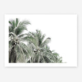 Shop Two Palms Photo Art Print a photography wall art print from The Print Emporium wall artwork collection - Buy Australian made fine art poster and framed prints for the home and your interior decor room, TPE-777-AP