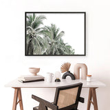 Shop Two Palms Photo Art Print a photography wall art print from The Print Emporium wall artwork collection - Buy Australian made fine art poster and framed prints for the home and your interior decor room, TPE-777-AP