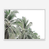 Shop Two Palms Photo Canvas Print a photography framed stretched canvas print from The Print Emporium wall artwork collection - Buy Australian made prints for the home and your interior decor space, TPE-777-CA-35X46-NF