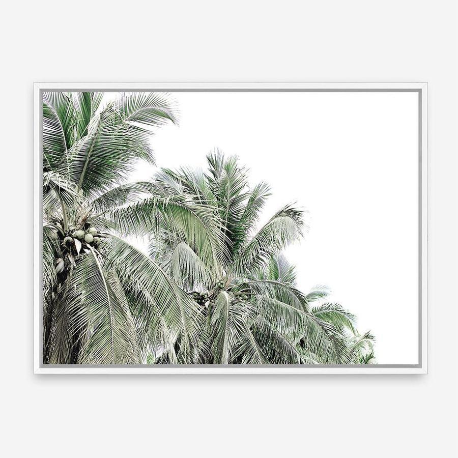 Shop Two Palms Photo Canvas Print a photography framed stretched canvas print from The Print Emporium wall artwork collection - Buy Australian made prints for the home and your interior decor space, TPE-777-CA-35X46-NF