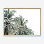 Shop Two Palms Photo Canvas Print a photography framed stretched canvas print from The Print Emporium wall artwork collection - Buy Australian made prints for the home and your interior decor space, TPE-777-CA-35X46-NF