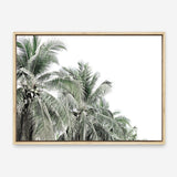 Shop Two Palms Photo Canvas Print a photography framed stretched canvas print from The Print Emporium wall artwork collection - Buy Australian made prints for the home and your interior decor space, TPE-777-CA-35X46-NF