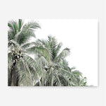 Shop Two Palms Photo Canvas Print a photography framed stretched canvas print from The Print Emporium wall artwork collection - Buy Australian made prints for the home and your interior decor space, TPE-777-CA-35X46-NF