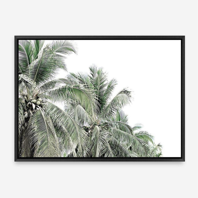 Shop Two Palms Photo Canvas Print a photography framed stretched canvas print from The Print Emporium wall artwork collection - Buy Australian made prints for the home and your interior decor space, TPE-777-CA-35X46-NF