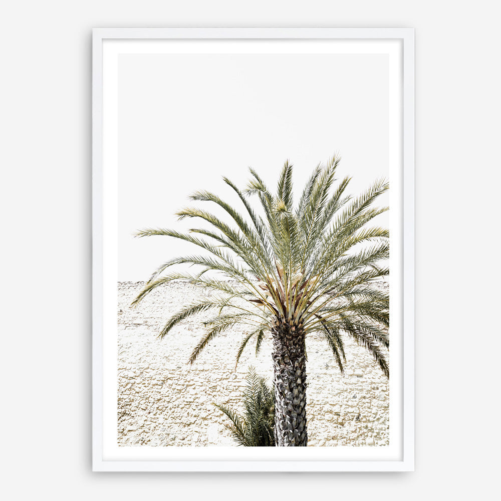 Shop Vacation Palm Photo Art Print a coastal themed photography wall art print from The Print Emporium wall artwork collection - Buy Australian made fine art poster and framed prints for the home and your interior decor, TPE-1089-AP