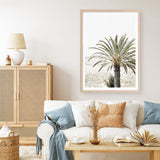 Shop Vacation Palm Photo Art Print a coastal themed photography wall art print from The Print Emporium wall artwork collection - Buy Australian made fine art poster and framed prints for the home and your interior decor, TPE-1089-AP