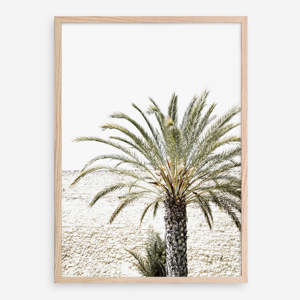 Shop Vacation Palm Photo Art Print a coastal themed photography wall art print from The Print Emporium wall artwork collection - Buy Australian made fine art poster and framed prints for the home and your interior decor, TPE-1089-AP