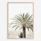 Shop Vacation Palm Photo Art Print a coastal themed photography wall art print from The Print Emporium wall artwork collection - Buy Australian made fine art poster and framed prints for the home and your interior decor, TPE-1089-AP