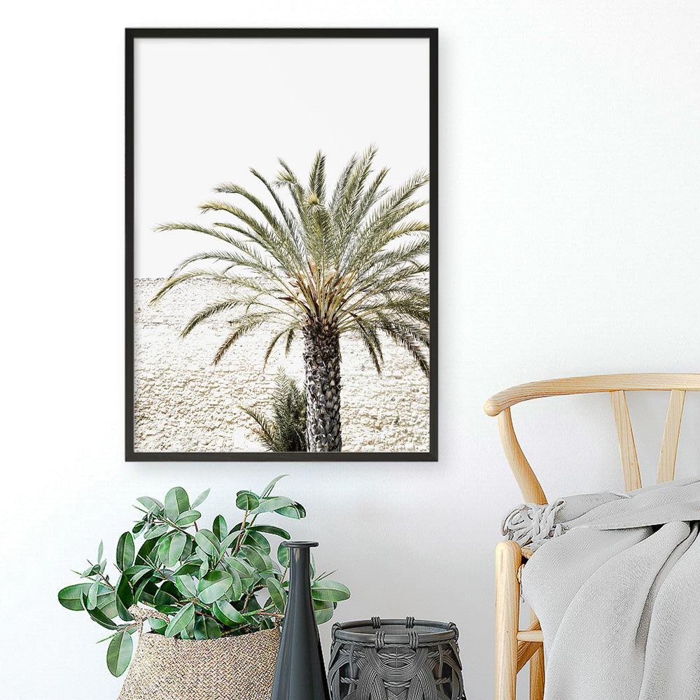 Shop Vacation Palm Photo Art Print a coastal themed photography wall art print from The Print Emporium wall artwork collection - Buy Australian made fine art poster and framed prints for the home and your interior decor, TPE-1089-AP