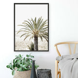Shop Vacation Palm Photo Art Print a coastal themed photography wall art print from The Print Emporium wall artwork collection - Buy Australian made fine art poster and framed prints for the home and your interior decor, TPE-1089-AP