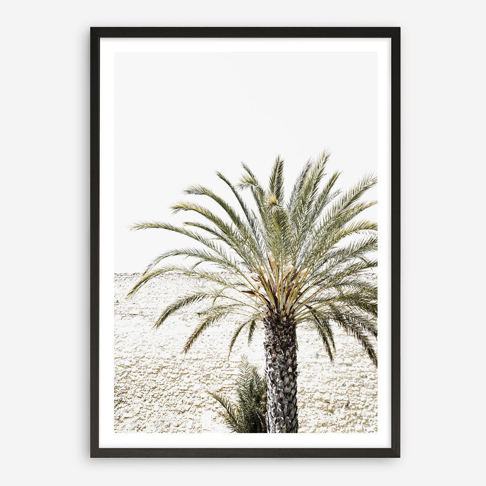 Shop Vacation Palm Photo Art Print a coastal themed photography wall art print from The Print Emporium wall artwork collection - Buy Australian made fine art poster and framed prints for the home and your interior decor, TPE-1089-AP
