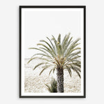 Shop Vacation Palm Photo Art Print a coastal themed photography wall art print from The Print Emporium wall artwork collection - Buy Australian made fine art poster and framed prints for the home and your interior decor, TPE-1089-AP