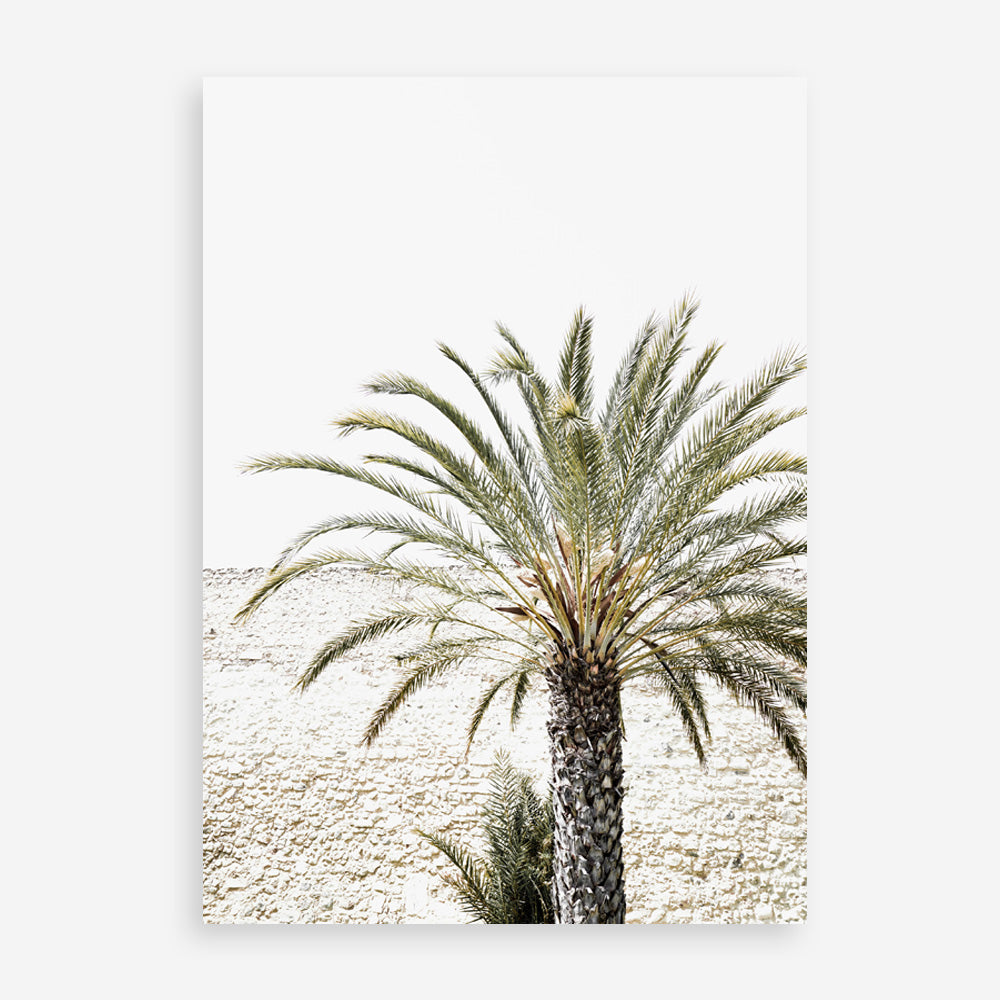Shop Vacation Palm Photo Art Print a coastal themed photography wall art print from The Print Emporium wall artwork collection - Buy Australian made fine art poster and framed prints for the home and your interior decor, TPE-1089-AP