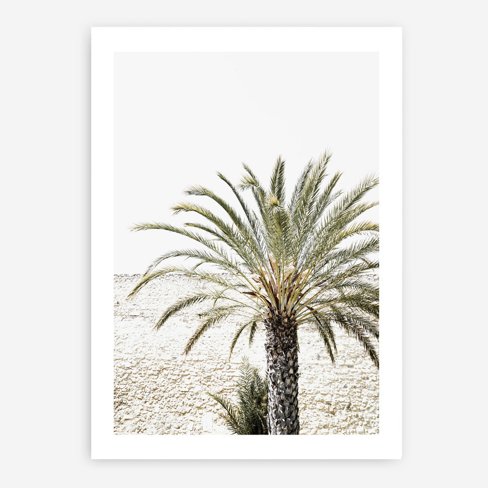 Shop Vacation Palm Photo Art Print a coastal themed photography wall art print from The Print Emporium wall artwork collection - Buy Australian made fine art poster and framed prints for the home and your interior decor, TPE-1089-AP