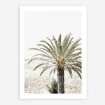 Shop Vacation Palm Photo Art Print a coastal themed photography wall art print from The Print Emporium wall artwork collection - Buy Australian made fine art poster and framed prints for the home and your interior decor, TPE-1089-AP