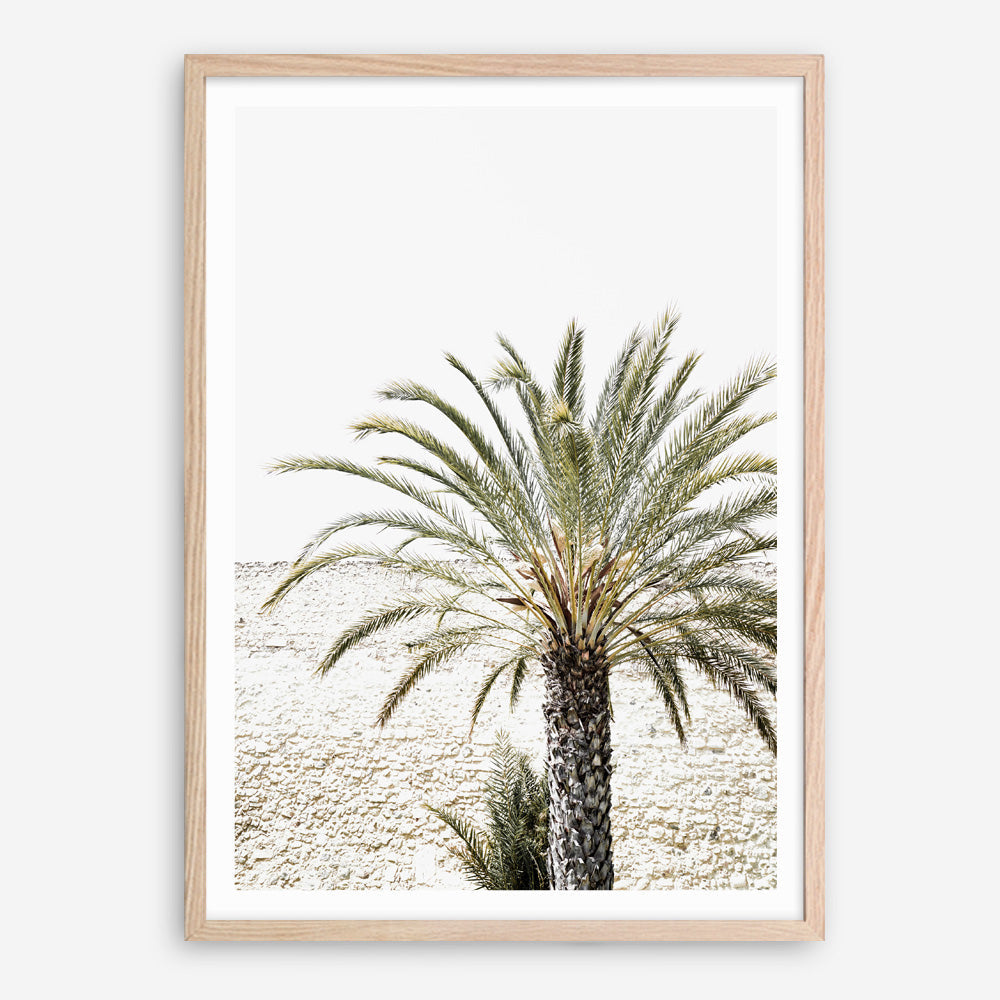 Shop Vacation Palm Photo Art Print a coastal themed photography wall art print from The Print Emporium wall artwork collection - Buy Australian made fine art poster and framed prints for the home and your interior decor, TPE-1089-AP