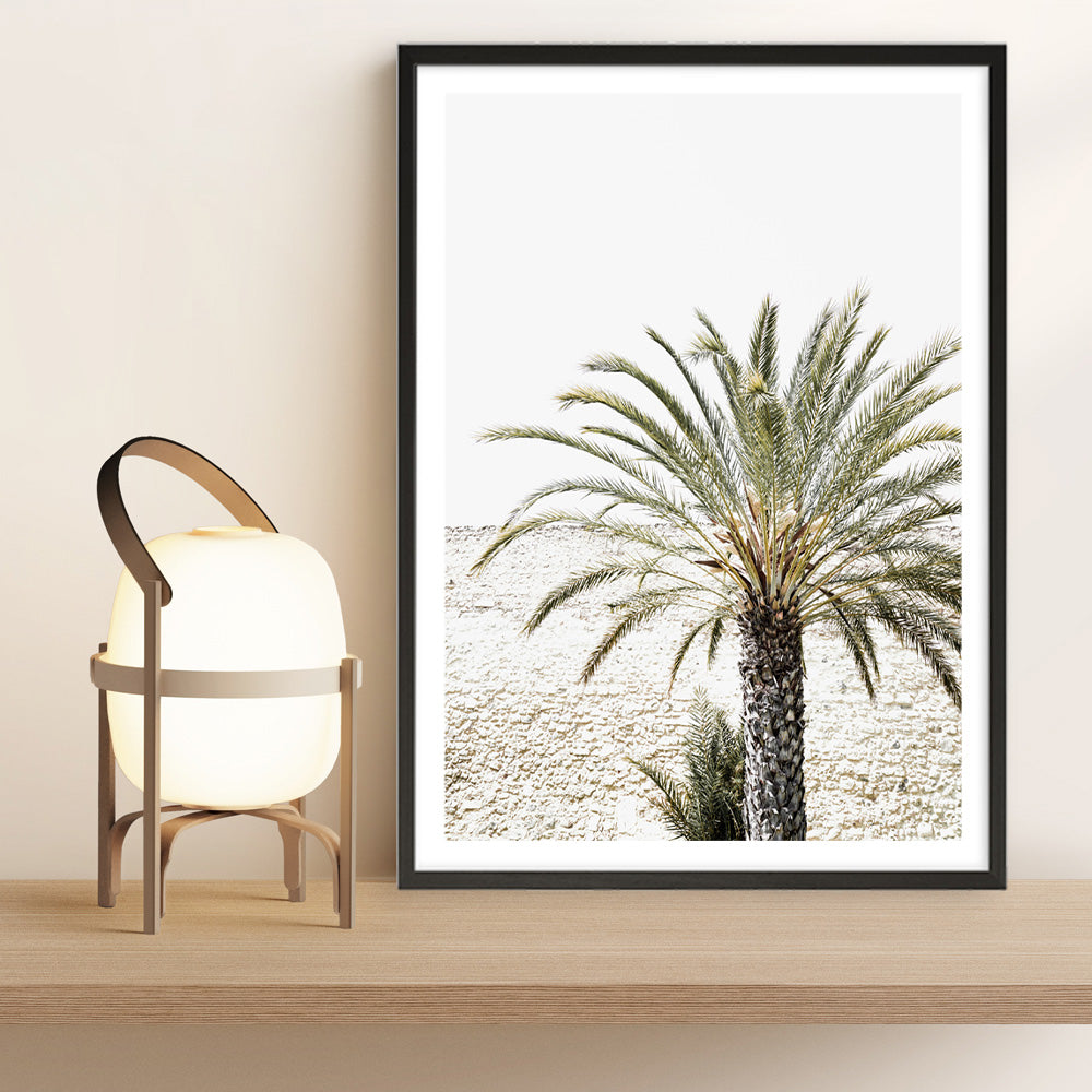 Shop Vacation Palm Photo Art Print a coastal themed photography wall art print from The Print Emporium wall artwork collection - Buy Australian made fine art poster and framed prints for the home and your interior decor, TPE-1089-AP