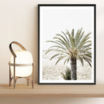 Shop Vacation Palm Photo Art Print a coastal themed photography wall art print from The Print Emporium wall artwork collection - Buy Australian made fine art poster and framed prints for the home and your interior decor, TPE-1089-AP