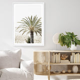 Shop Vacation Palm Photo Art Print a coastal themed photography wall art print from The Print Emporium wall artwork collection - Buy Australian made fine art poster and framed prints for the home and your interior decor, TPE-1089-AP
