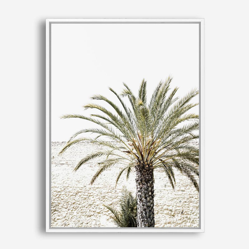 Shop Vacation Palm Photo Canvas Print a coastal themed photography framed stretched canvas print from The Print Emporium wall artwork collection - Buy Australian made prints for the home and your interior decor space, TPE-1089-CA-35X46-NF