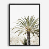 Shop Vacation Palm Photo Canvas Print a coastal themed photography framed stretched canvas print from The Print Emporium wall artwork collection - Buy Australian made prints for the home and your interior decor space, TPE-1089-CA-35X46-NF
