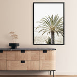 Shop Vacation Palm Photo Canvas Print a coastal themed photography framed stretched canvas print from The Print Emporium wall artwork collection - Buy Australian made prints for the home and your interior decor space, TPE-1089-CA-35X46-NF