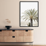 Shop Vacation Palm Photo Canvas Print a coastal themed photography framed stretched canvas print from The Print Emporium wall artwork collection - Buy Australian made prints for the home and your interior decor space, TPE-1089-CA-35X46-NF