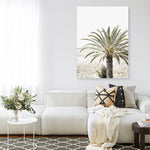 Shop Vacation Palm Photo Canvas Print a coastal themed photography framed stretched canvas print from The Print Emporium wall artwork collection - Buy Australian made prints for the home and your interior decor space, TPE-1089-CA-35X46-NF
