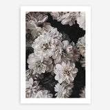 Shop Vintage Blooms Art Print a floral themed painted wall art print from The Print Emporium wall artwork collection - Buy Australian made fine art painting style poster and framed prints for the home and your interior decor room, TPE-207-AP