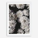 Shop Vintage Blooms II Art Print a floral themed painted wall art print from The Print Emporium wall artwork collection - Buy Australian made fine art painting style poster and framed prints for the home and your interior decor room, TPE-390-AP