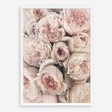 Shop Vintage Peonies I Art Print a floral themed painted wall art print from The Print Emporium wall artwork collection - Buy Australian made fine art painting style poster and framed prints for the home and your interior decor room, TPE-321-AP