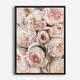 Shop Vintage Peonies I Canvas Print a floral themed painted framed canvas wall art print from The Print Emporium artwork collection - Buy Australian made fine art painting style stretched canvas prints for the home and your interior decor space, TPE-321-CA-35X46-NF
