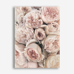 Shop Vintage Peonies I Canvas Print a floral themed painted framed canvas wall art print from The Print Emporium artwork collection - Buy Australian made fine art painting style stretched canvas prints for the home and your interior decor space, TPE-321-CA-35X46-NF